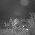 Webcam_20240118-071500