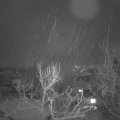 Webcam_20240118-074500