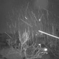 Webcam_20240118-080000