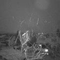 Webcam_20240118-083000