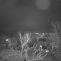 Webcam_20240118-194500