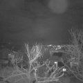 Webcam_20240118-200000