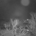 Webcam_20240121-064500