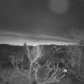 Webcam_20240121-080000