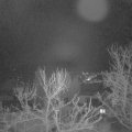 Webcam_20240122-061500