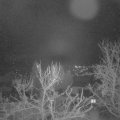 Webcam_20240122-074500