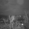 Webcam_20240122-190000