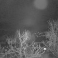 Webcam_20240123-051500