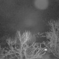 Webcam_20240123-063000