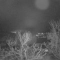 Webcam_20240124-080000