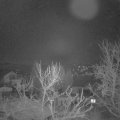 Webcam_20240127-051500