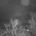 Webcam_20240131-051500