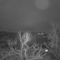 Webcam_20240131-081500