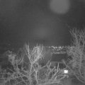 Webcam_20240131-194500