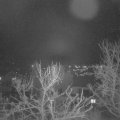 Webcam_20240131-210000