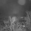 Webcam_20240201-061500