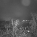 Webcam_20240201-080000