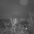 Webcam_20240201-081500