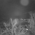 Webcam_20240201-204500