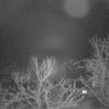 Webcam_20240206-050000