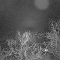 Webcam_20240206-051500