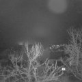 Webcam_20240206-080000