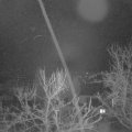 Webcam_20240207-054500