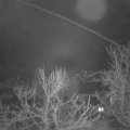 Webcam_20240207-063000