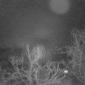 Webcam_20240208-050000