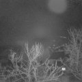 Webcam_20240208-053000