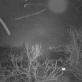 Webcam_20240208-064500