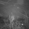 Webcam_20240208-080000