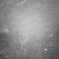 Webcam_20240208-081500