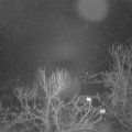 Webcam_20240209-051500