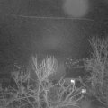 Webcam_20240209-054500