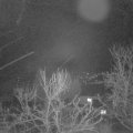 Webcam_20240209-060000