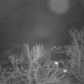 Webcam_20240209-071500