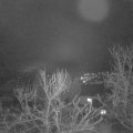 Webcam_20240209-080000