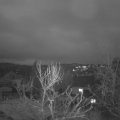 Webcam_20240209-081500