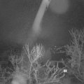 Webcam_20240212-051500