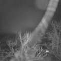 Webcam_20240212-053000