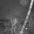 Webcam_20240212-061500