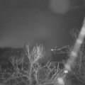 Webcam_20240212-063000