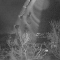 Webcam_20240212-073000