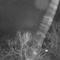 Webcam_20240212-074500