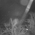 Webcam_20240213-050000