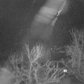 Webcam_20240213-053000