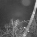 Webcam_20240213-054500