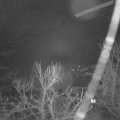 Webcam_20240213-060000