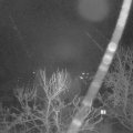 Webcam_20240213-063000